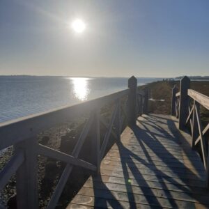 Nicky Burrows Bridge With Sun 300x300
