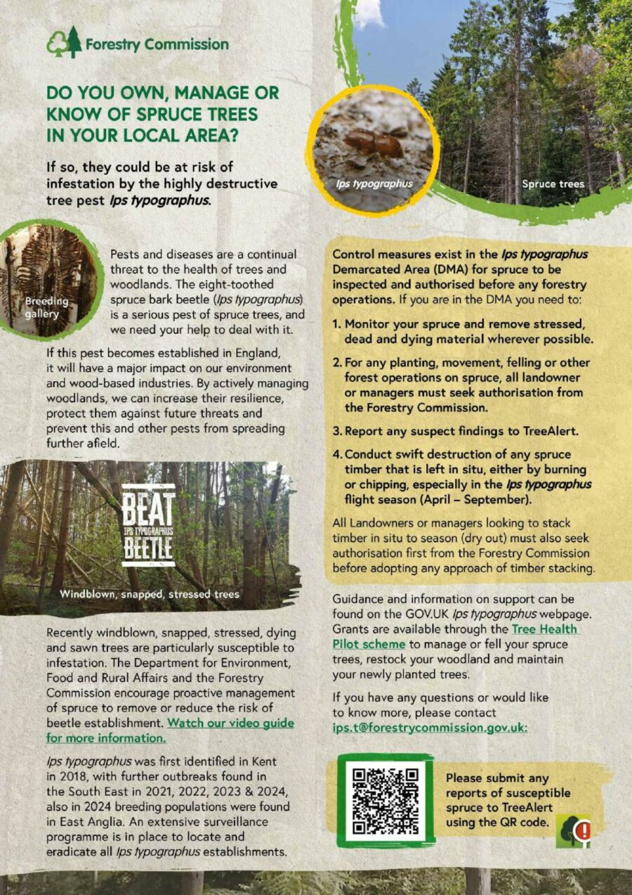 Fc049082 Spruce Digital Flyer Jpeg